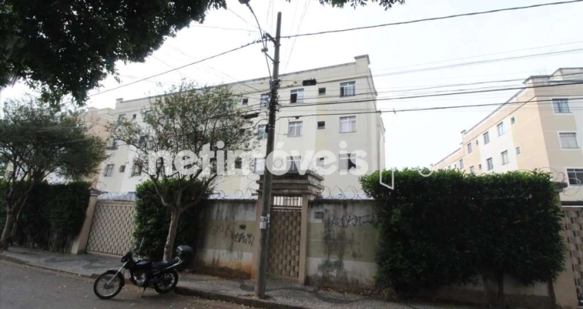 Apartamento com 2 quartos para alugar na Rua Virgílio da Costa Correa, Letícia, Belo Horizonte