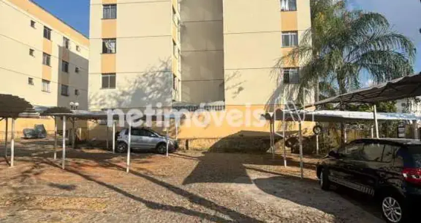 Apartamento com 2 quartos para alugar na Rua Zélia, Piratininga (Venda Nova), Belo Horizonte