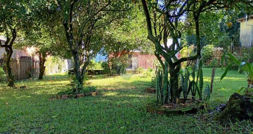 Grande terreno 16x40 no piratini – oportunidade para construtores