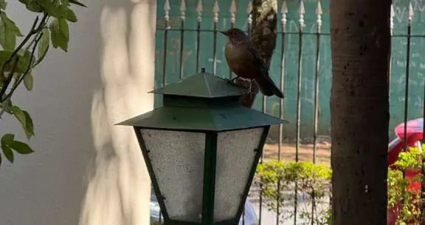 Apartamento com 3 quartos para alugar na Avenida Jurubatuba, 374, 374, Vila Cordeiro, São Paulo