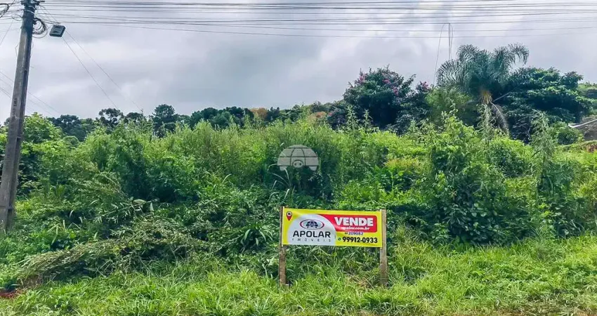 Terreno à venda na Rua Antônio Eduardo Trevisan, 1662, Pacotuba, Almirante Tamandaré