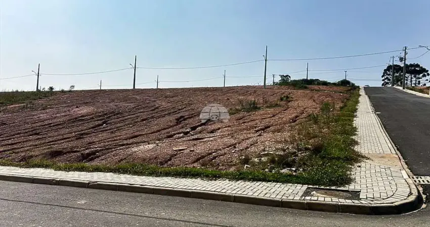 Terreno à venda na Rua Vereador Wadislau Bugalski, 3200, Lamenha Grande, Almirante Tamandaré