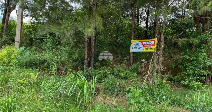 Terreno à venda na Rua Francisco de Oliveira, 143, Jardim Cíntia Mara, Almirante Tamandaré