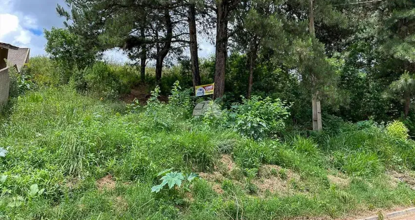 Terreno à venda na Rua Lydia Rose Zanlutti, 313, Jardim Cíntia Mara, Almirante Tamandaré