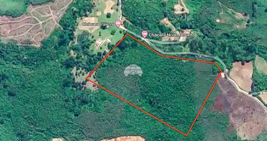 Chácara / sítio com 2 quartos à venda na Rua Francisco de Lara Vaz, S/N, Morro Azul, Almirante Tamandaré