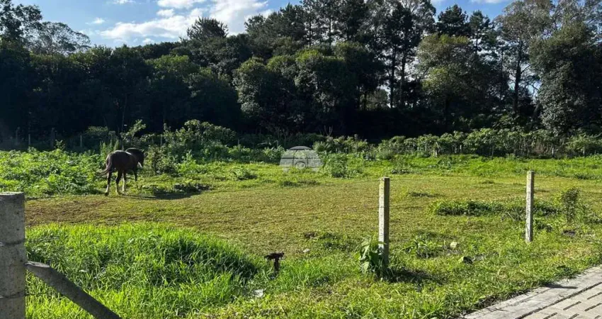 Terreno à venda na Rua José Carlos Colodel, 775, Centro, Almirante Tamandaré