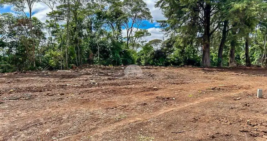 Terreno à venda na Rua Santa Helena, 01, Jardim São Carlos, Almirante Tamandaré