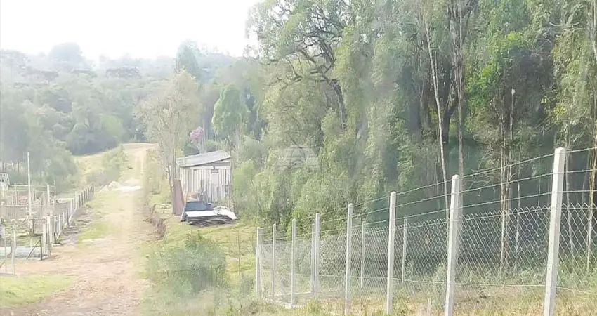 Terreno à venda na Estrada da Roseira, 9775, Borda do Campo, São José dos Pinhais