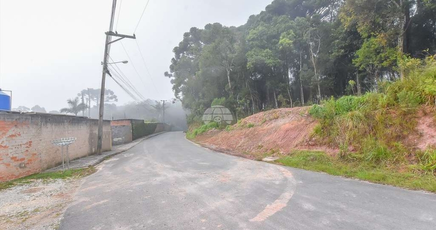 Terreno à venda na Rua do Nambu, 169, Arruda, Colombo