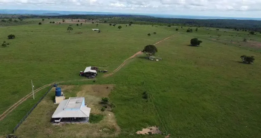 Fazenda à venda na Rondonópolis - MT, Área Rural de Rondonópolis, Rondonópolis