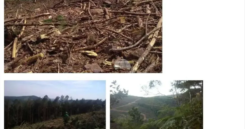 Terreno à venda na RUA DEOMARINA MILENE SANTOS, 0000, Santa Helena, Bocaiúva do Sul
