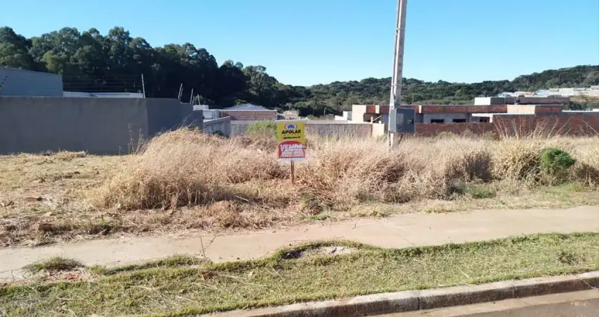 Terreno à venda na Rua Wadyh C. Tahech, 391, São Cristóvão, Guarapuava