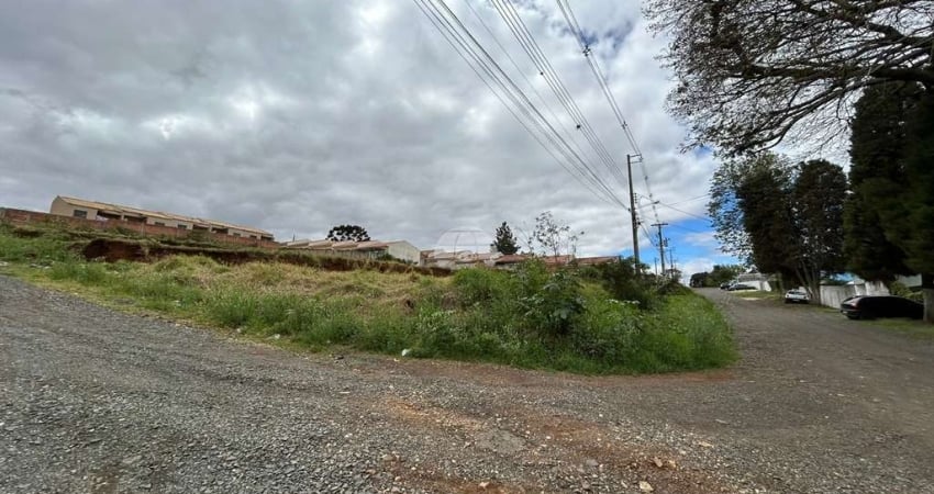 Terreno à venda na Rua Nestor Alves de Campos, 843, Uvaranas, Ponta Grossa
