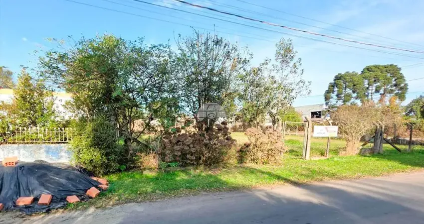 Terreno à venda na Rua Alzira do Pilar de Freitas Andrade, S/N, São Sebastião, São José dos Pinhais