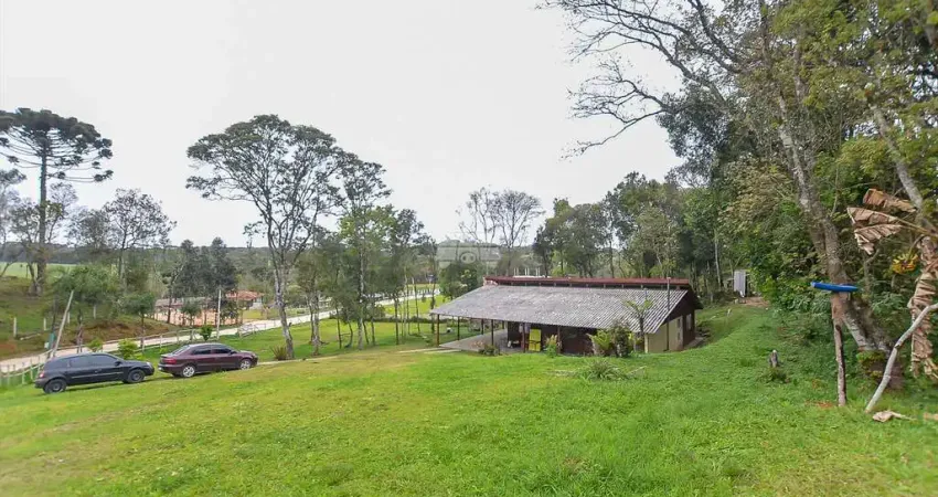 Chácara / sítio com 3 quartos à venda na Rua Amadeu Santos, 502, Planta Laranjeiras, Piraquara