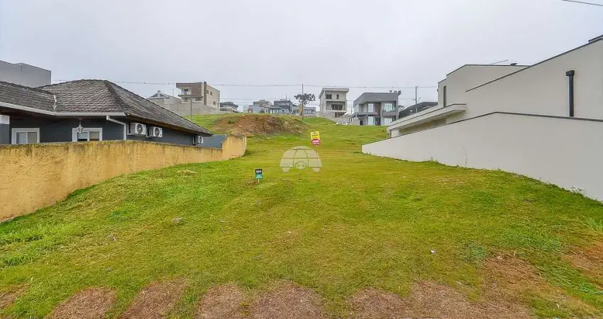 Terreno em condomínio fechado à venda na Rua do Quivi, 341, Arruda, Colombo