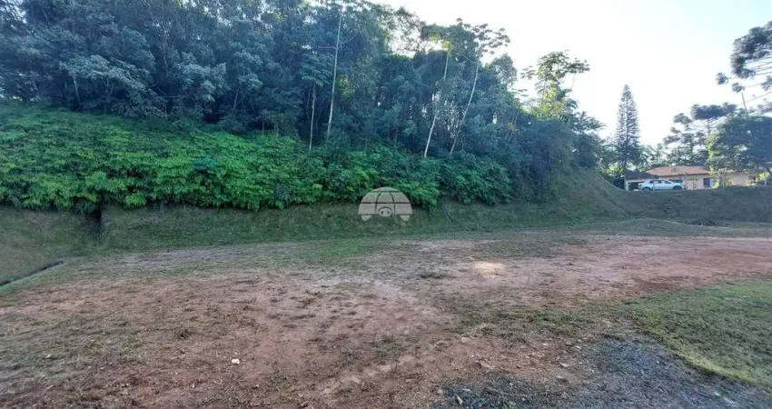 Terreno à venda na Rua Santa Catarina, 4740, Santa Catarina, Joinville