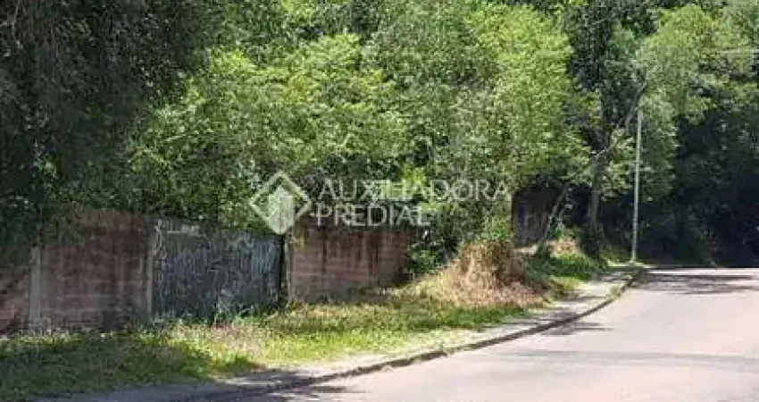 Terreno comercial à venda na Rua Dolores Duran, 2580, Lomba do Pinheiro, Porto Alegre