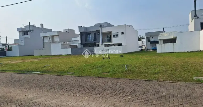 Terreno comercial à venda na Rua Jorge Babot Miranda, 680, Aberta dos Morros, Porto Alegre