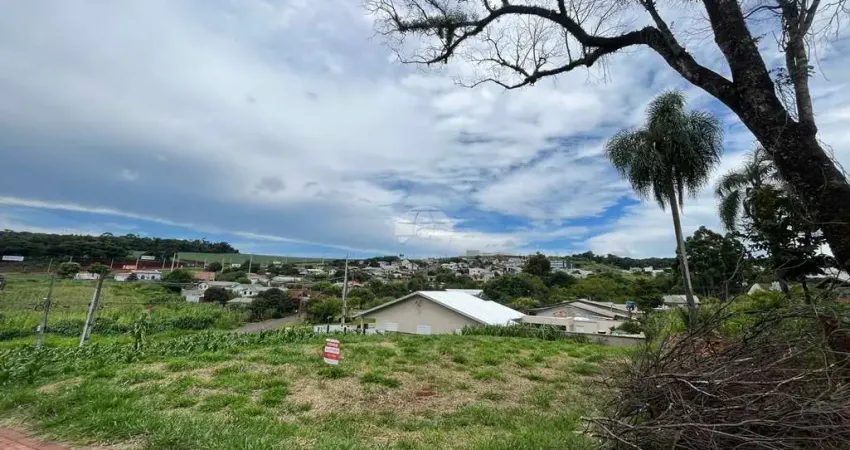 Terreno à venda na Rua Tocantins, 00, São Luiz, Pato Branco