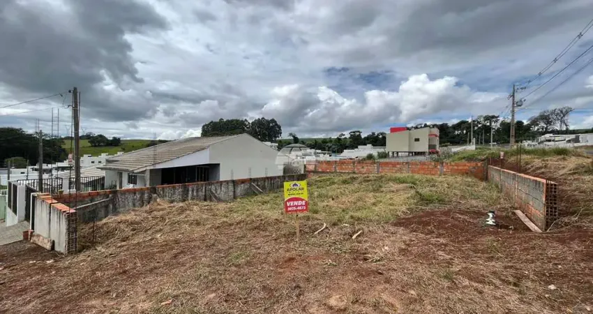 Terreno à venda na Rua Melci Dal Molin, 00, São Francisco, Pato Branco