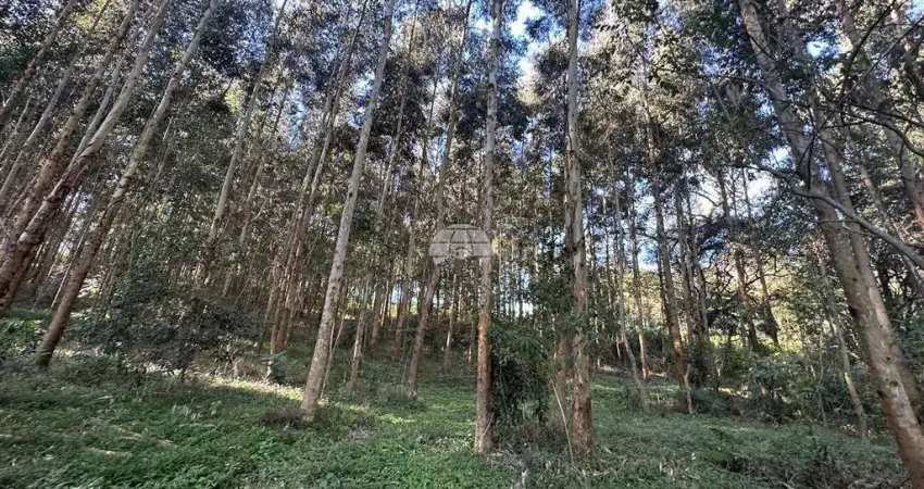 Terreno à venda na ESTRADA ZONA RURAL, 00, Zona Rural, Coronel Vivida