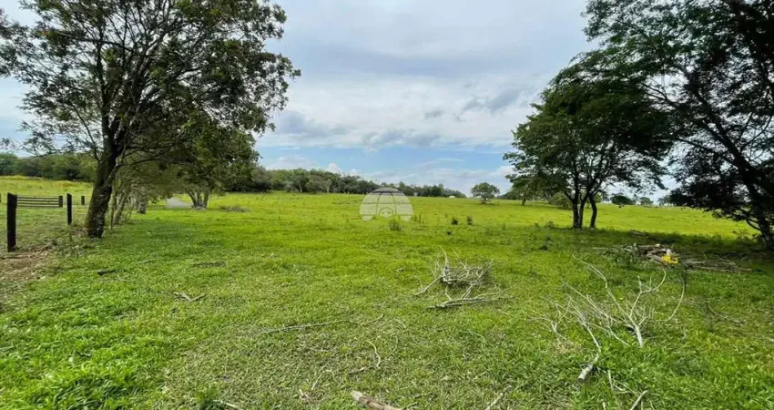 Chácara / sítio à venda na RUA PASSO DA ILHA, 00, Zona Rural, Pato Branco