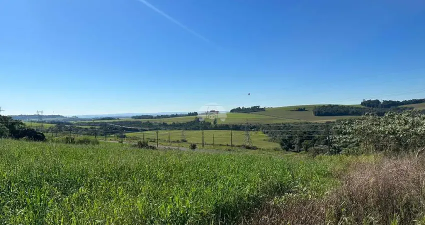 Terreno à venda na Rua Darcilio Mazzoti, 00, São Luiz, Pato Branco