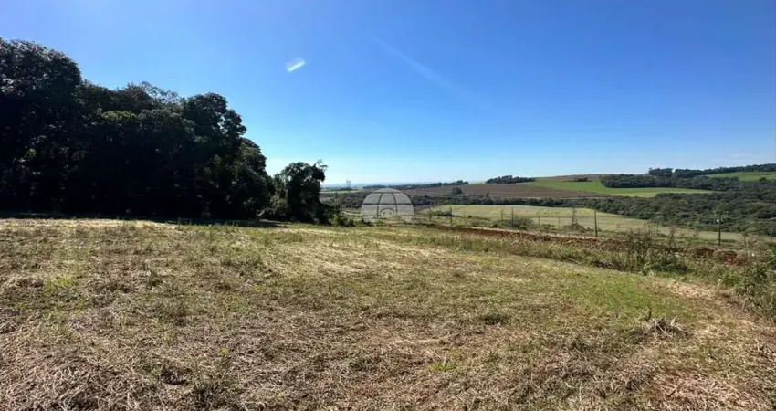 Terreno à venda na Rua Nilva de Mello, 00, São Luiz, Pato Branco