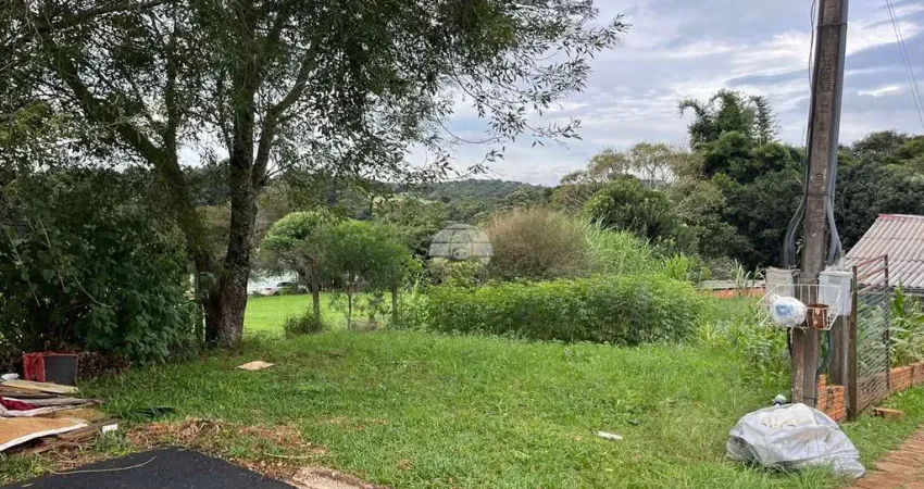 Terreno à venda na Rua Antonio Lorenzetti, 00, Novo Horizonte, Pato Branco