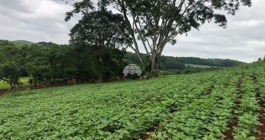 Terreno à venda na DISTRITO ZONA RURAL, 00, Zona Rural, Pato Branco