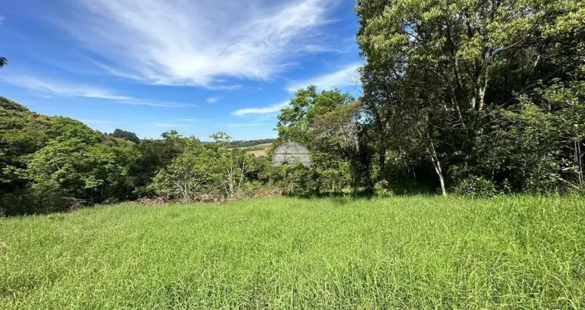 Chácara / sítio à venda na RUA PASSO DA ILHA, 00, Zona Rural, Pato Branco