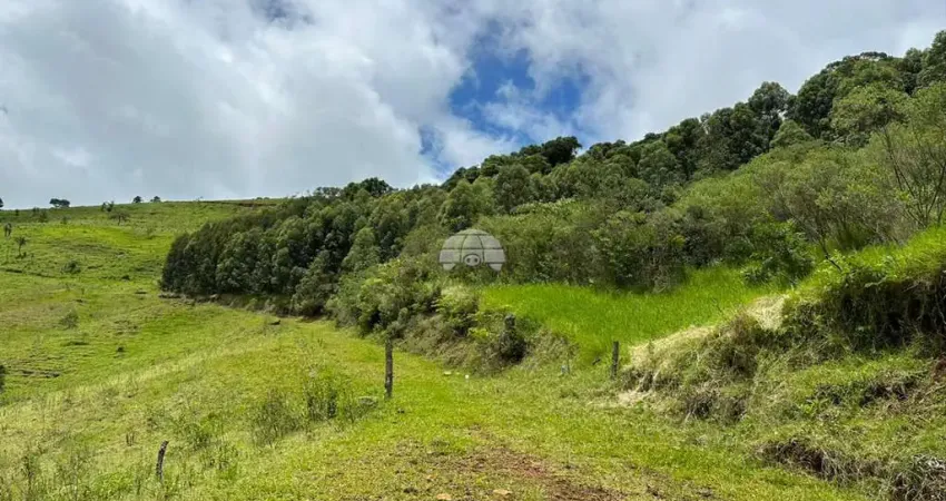 Chácara / sítio à venda na DISTRITO ZONA RURAL, 00, Zona Rural, Pato Branco