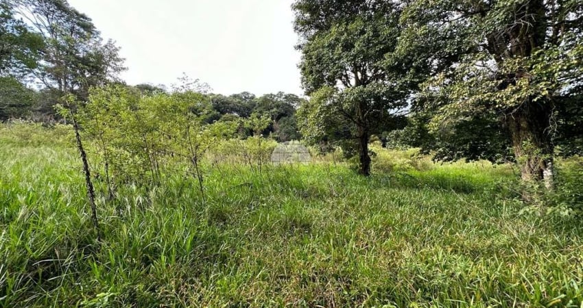 Chácara / sítio à venda na COMUNIDADE FAZENDA DA BARRA, 00, Zona Rural, Pato Branco