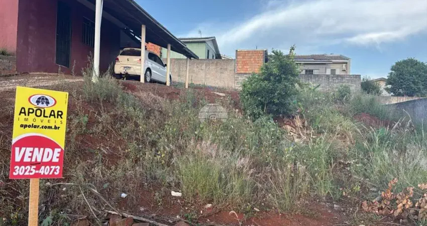 Terreno à venda na Rua Melci Dal Molin, 00, São Francisco, Pato Branco