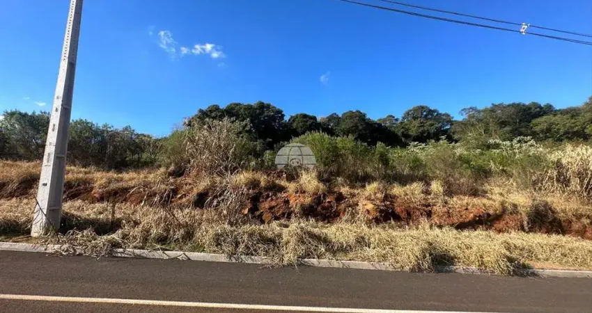 Terreno à venda na RUA AUGUSTINHO POLAZZO, 00, Parzianello, Pato Branco