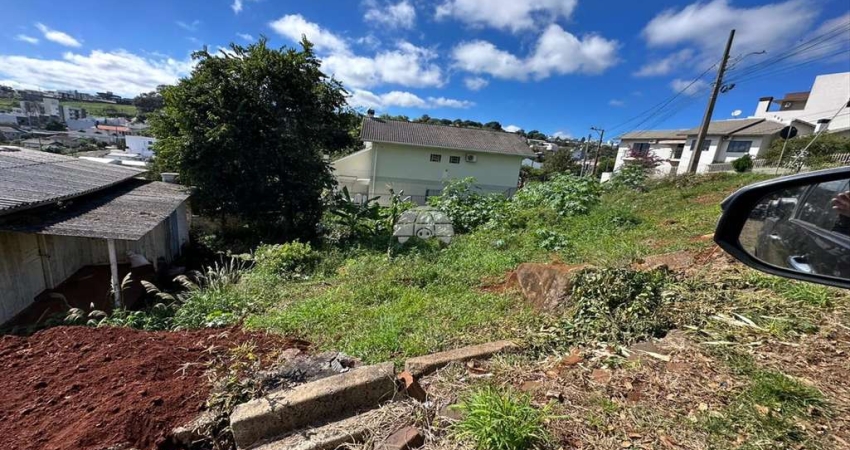 Terreno à venda na Rua Felipe Camarão, 00, Pinheiros, Pato Branco