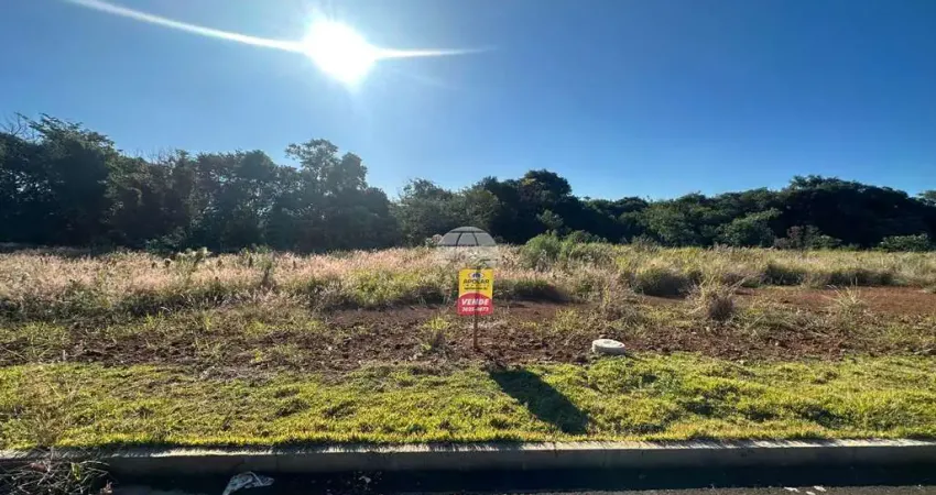 Terreno à venda na RUA MARIA CLENEDIR LEIRIA WITT, 00, Pagnoncelli, Pato Branco