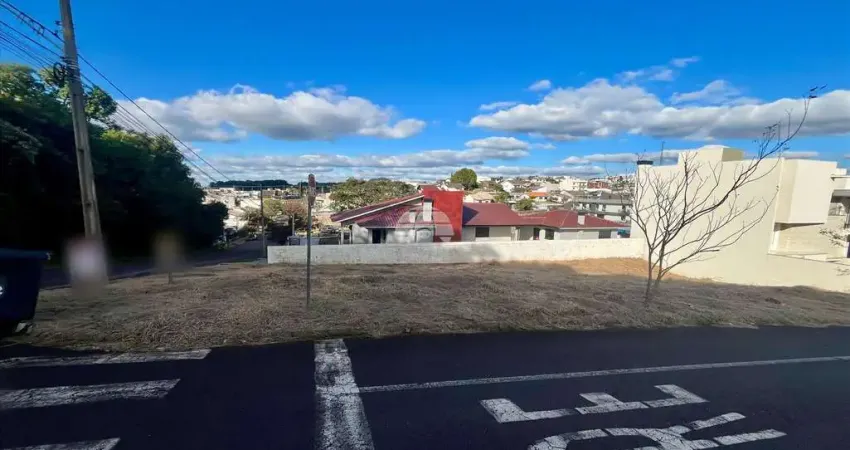 Terreno à venda na Rua Pioneiro Alberto Braun, 00, La Salle, Pato Branco
