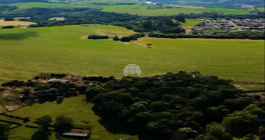 Fazenda à venda na DISTRITO NOVA ESPERO, 00, São Roque, Pato Branco