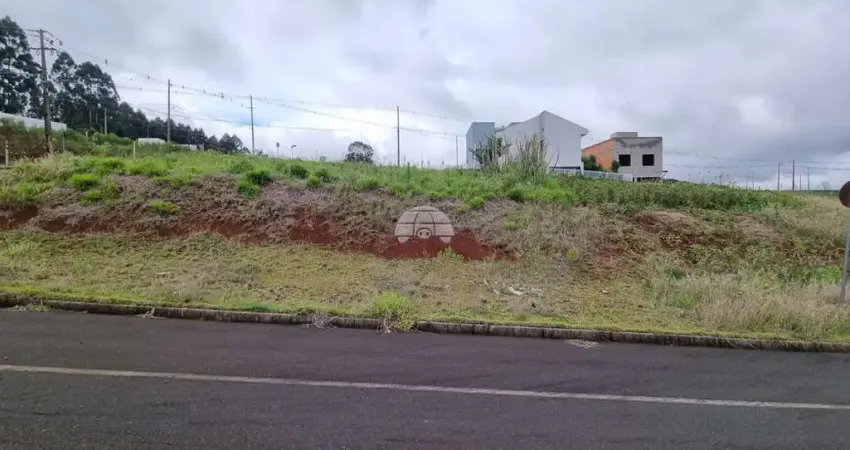 Terreno à venda na Rua Celso Bussolaro, 148, Industrial, Pato Branco