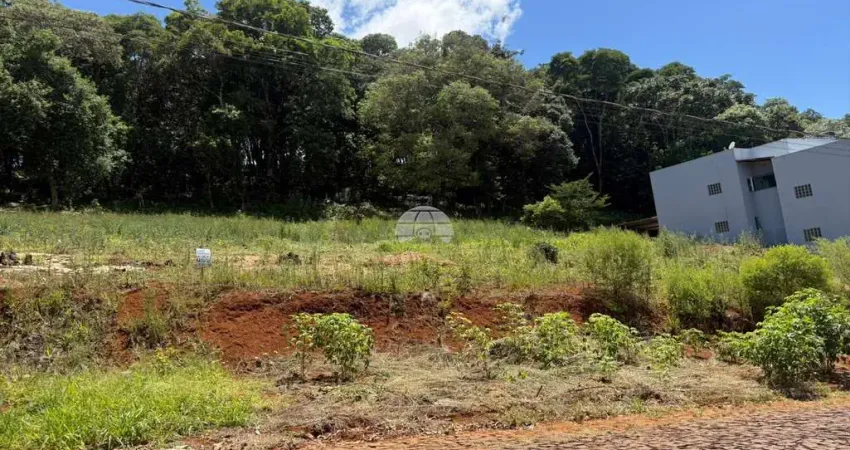 Terreno à venda na Rua Manoel da Nóbrega, 490 LADO, Aeroporto, Pato Branco