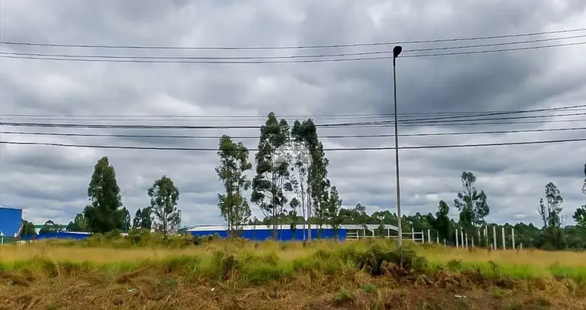 Terreno comercial à venda na RUA HORTO FLORESTAL DO CARA-CARA, 00, Cará-cará, Ponta Grossa