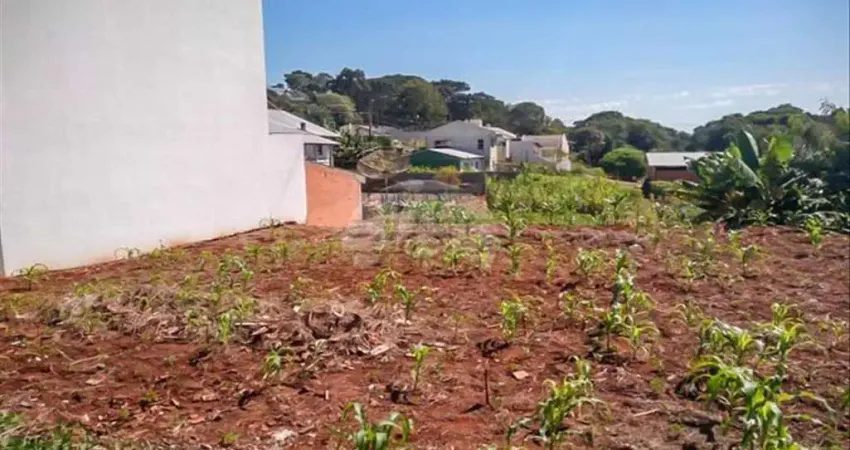 Terreno à venda na Rua Tapir, 00, Cadorin, Pato Branco