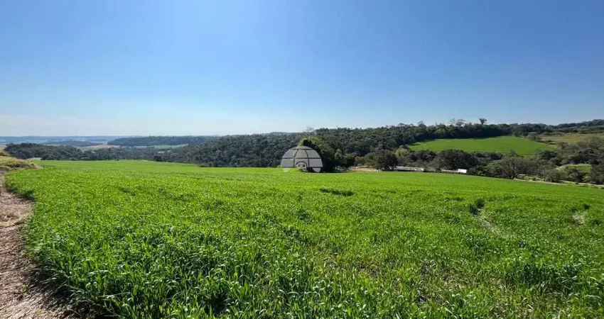 Terreno comercial à venda na Rodovia PR-280, 00, Zona Rural, Pato Branco