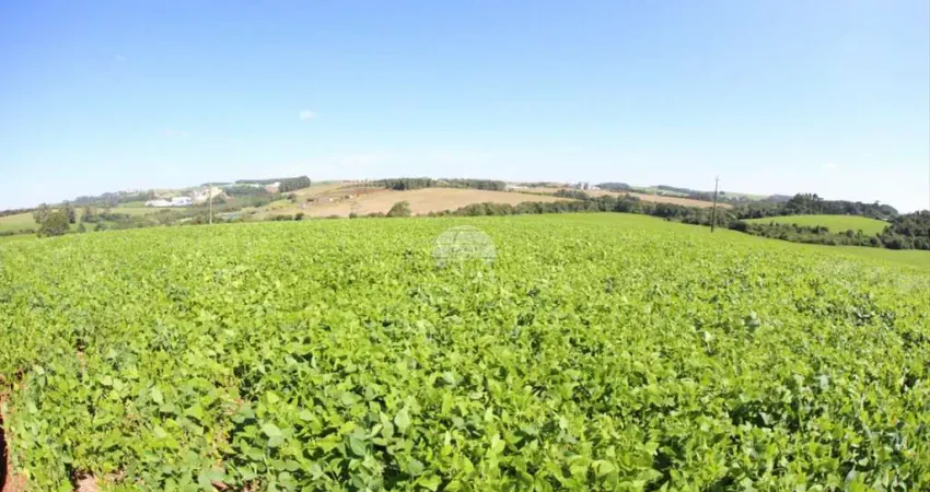 Terreno à venda na COMUNIDADE SAO BRAZ, 00, São Braz, Pato Branco