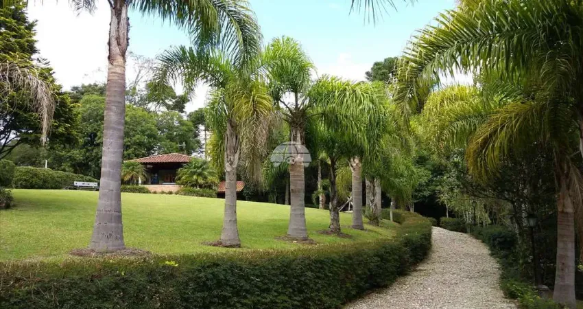 Chácara / sítio com 5 quartos à venda na Rua Três Lagos, Colônia Revier, Campo Largo