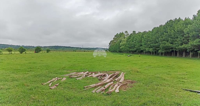 Terreno à venda na Rua Angelino Pereira da Silva, 145, Parque das Araucárias, Piraquara