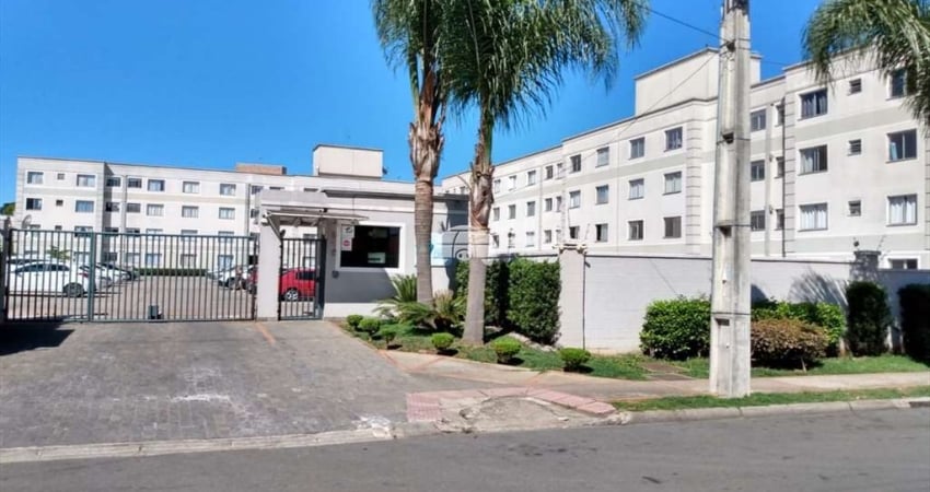 Apartamento com 2 quartos à venda na Rua Agudos do Sul, 978, Afonso Pena, São José dos Pinhais