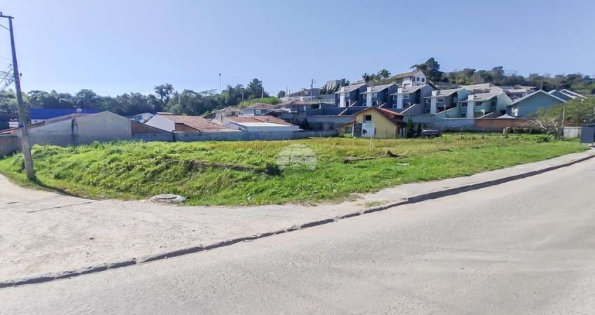 Terreno à venda na Rua do Pau-brasil, 213, Parque do Embu, Colombo